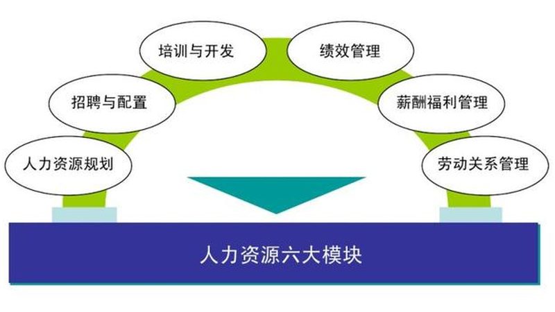 上海人力资源公司定制化服务：如何精准匹配企业需求